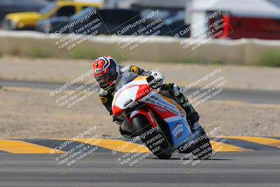 media/Mar-12-2023-SoCal Trackdays (Sun) [[d4c8249724]]/Turn 2 (1130am)/